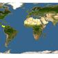 Discover Life: Point Map of Centropogon coccineus